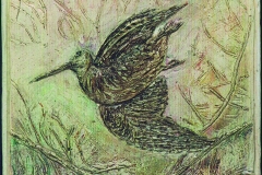 ravagni