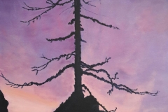 trevisson